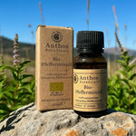 Pfefferminzöl BIO 12ml - Lebensmittelzertifiziert in Glasflasche mit Verpackung, natürliche ätherische Öle von Anthos Botanicals.