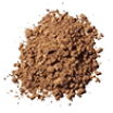 getrockneter Reishi